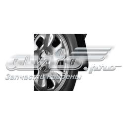 Chlapacz Renault DUSTER