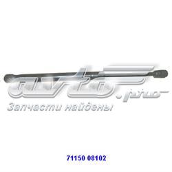 7115008102 Ssang Yong Amortyzator maski