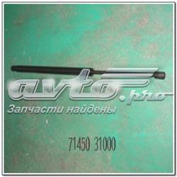 Amortyzator klapy bagażnika (3/5 drzwi-tylnych) do SsangYong Actyon  CJ