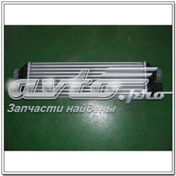 Chłodnica intercoolera SsangYong Rexton I SUV (RJN) (2006 - 2012) cena, od 123,73 USD
