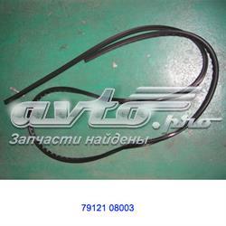 7912108003 Ssang Yong Listwa ochronna szyby przedniej