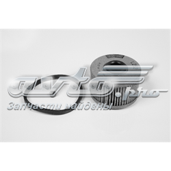 Filtr paliwa Champion CFF100252 cena, od 7,15 USD