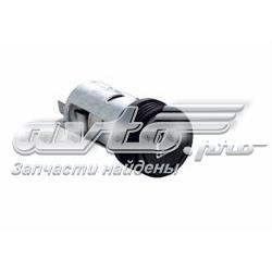 2533190J01 Nissan/Infiniti Zapalniczka
