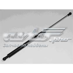 Amortyzator klapy bagażnika (3/5 drzwi-tylnych) Daewoo Nubira I kombi (J10, J15) (1997 - 2001) cena, od 17,88 USD