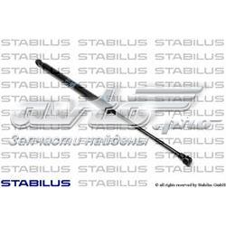 Amortyzator klapy bagażnika (3/5 drzwi-tylnych) 11198231010 DK