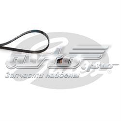 Pasek wielorowkowy Subaru Outback