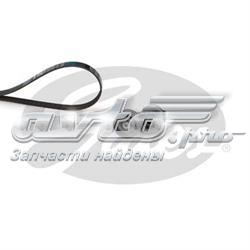K017PK1125 Gates Pasek napędowy mechanizmów, zestaw
