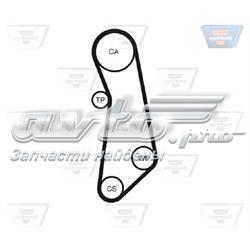 71753156 Fiat/Alfa/Lancia Pasek rozrządu