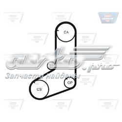 2431232560 Hyundai/Kia Pasek rozrządu