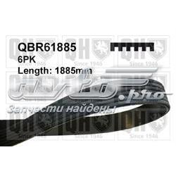 Pasek wielorowkowy Mitsubishi Grandis