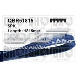 Do koszyka STC4455 Hyundai/Kia Pas napędowy mechanizmów