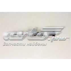 RS310477 Raiso Amortyzator tylny