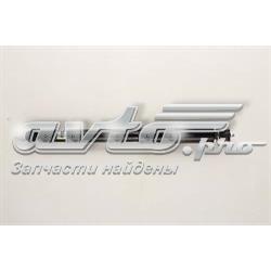 Amortyzator tylny Renault (RVI) 562102513R