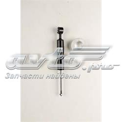 RS341461 Raiso Amortyzator przedni