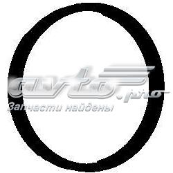 713420400 Victor Reinz