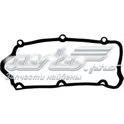 713169700 Victor Reinz