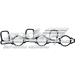 713606900 Victor Reinz