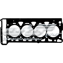 613747500 Victor Reinz