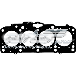 613425020 Victor Reinz