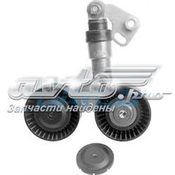 APV2273 Dayco