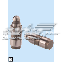 Do koszyka 030109423B VAG Kompensator hydrauliczny (popychacz hydrauliczny), popychacz zaworu