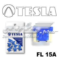 FL15A10 Tesla