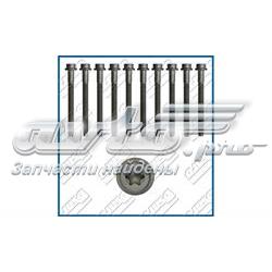 Śruba głowicy cylindrów Ajusa 81001100