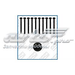 Śruba głowicy cylindrów Ford Connect TC7