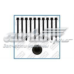 Śruba głowicy cylindrów Renault 25 B29