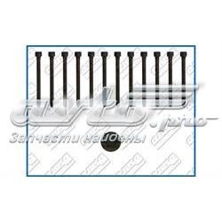 Śruba głowicy cylindrów Audi A6 4G2, 4GC