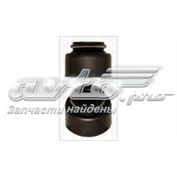 Uszczelniacz zaworu dolotowego/wylotowego Renault Vel Satis BJ0