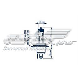 Żarówka halogenowa 1013818 Ford