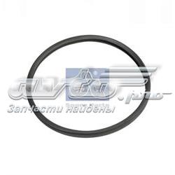 Uszczelka termostatu Renault Trucks MAGNUM IV ciągnik siodłowy (2005 - 2026) cena, od 6,78 USD