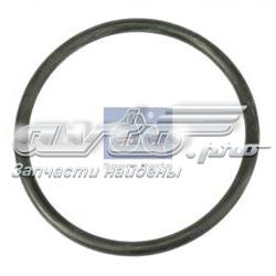 Uszczelka termostatu MAN TGA