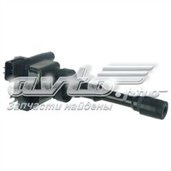 Cewka zapłonowa Delphi GN1045012B1 cena, od 30,11 USD