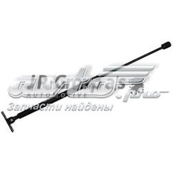 1281204300 JP Group Amortyzator maski