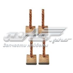 Szczotka rozrusznika Ford C-Max DM2