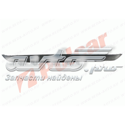 954199 Polcar
