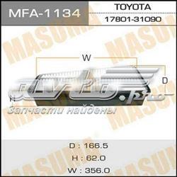 MFA1134 Masuma