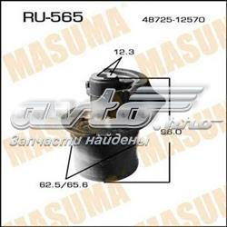 RU565 Masuma
