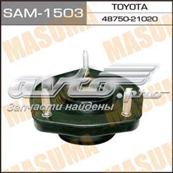 SAM1503 Masuma