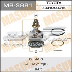 MB3881 Masuma
