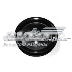 SS1079 DP Group