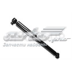 SS4161 DP Group
