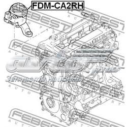 1844608 Ford Poduszka (podpora) silnika prawa