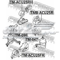 Do koszyka Poduszka (podpora) silnika przednia Toyota Highlander I ACU2, MCU2