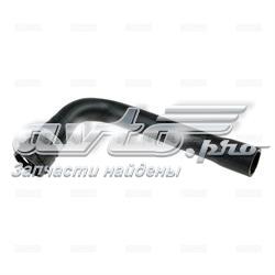 25120 Rapro
