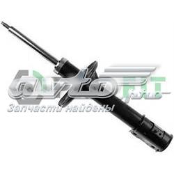Amortyzator przedni RS317610 Raiso