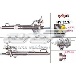 HY213R MSG