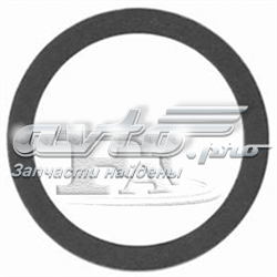 Do koszyka 90499289 General Motors Uszczelka rury odbiornika tłumika
